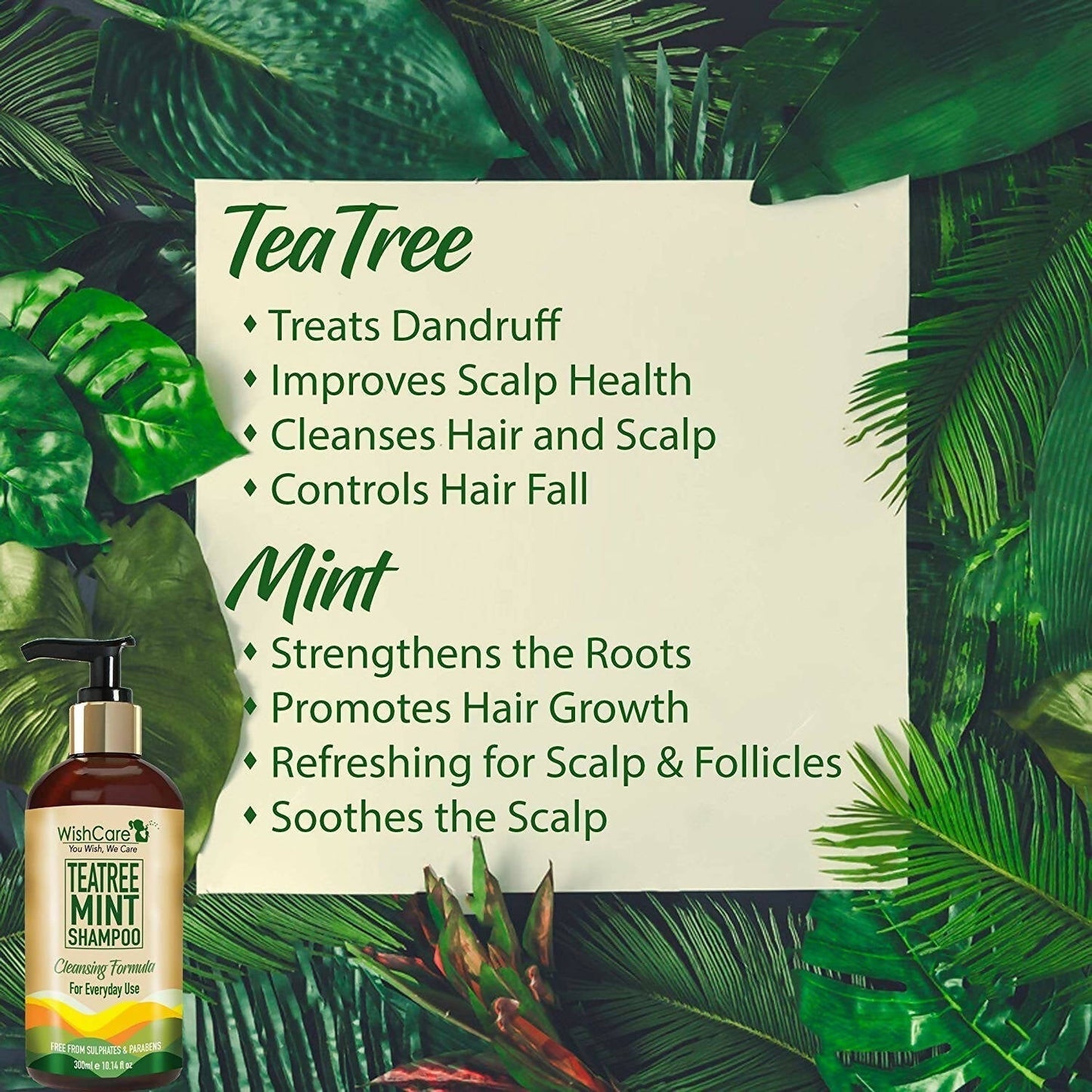 Wishcare Tea Tree Mint Shampoo