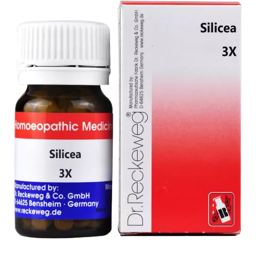 Dr. Reckeweg Silicea Biochemic Tablets TrueCure