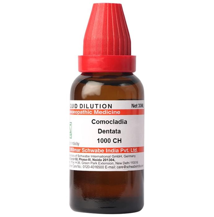 Dr. Willmar Schwabe India Comocladia Dentata Dilution 