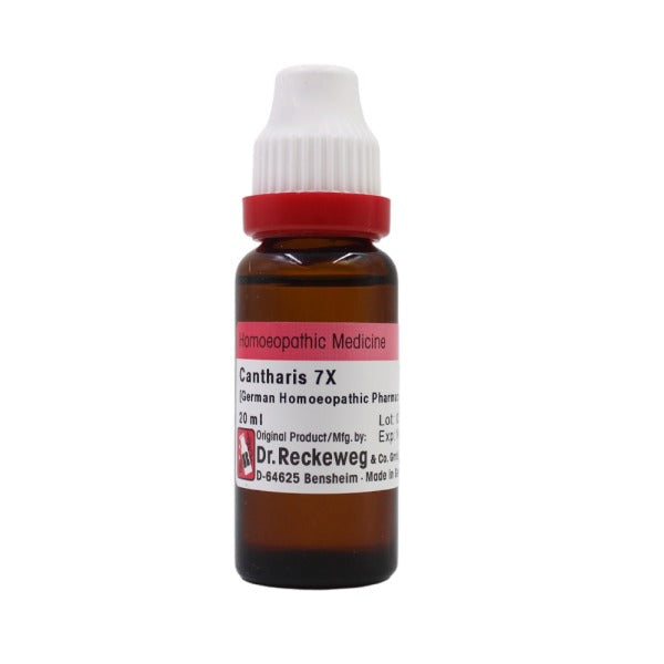 Dr. Reckeweg Cantharis Mother Tincture Q -  USA 