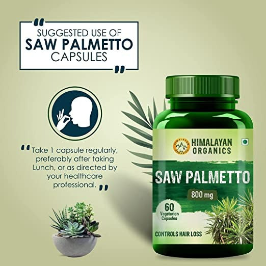 Himalayan Organics Saw Palmetto 800 mg Vegetarian Capsules