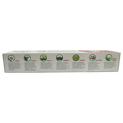 Baidyanath Jhansi Ayurvedant Ayudant Toothpaste