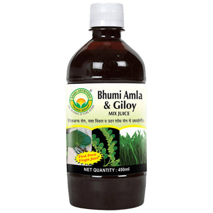 Basic Ayurveda Bhumi Amla & Giloy Mix Juice