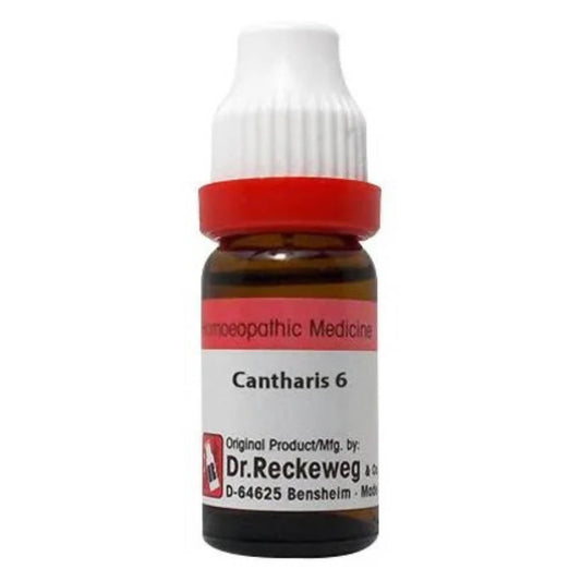 Dr. Reckeweg Cantharis Dilution TrueCure