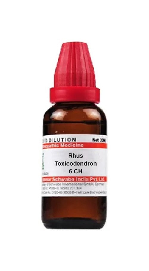 Dr. Willmar Schwabe India Rhus Toxicodendron Dilution 6 CH/ 30 ml