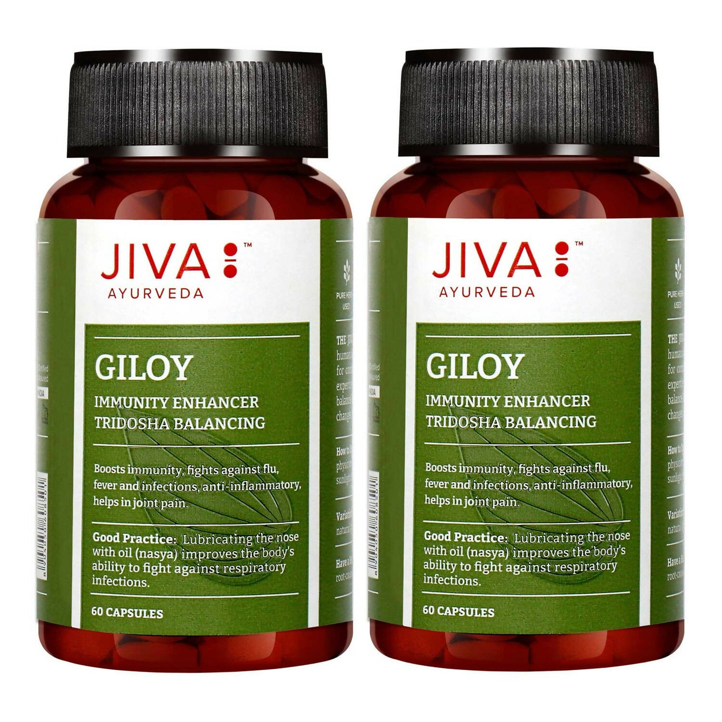 Jiva Ayurveda Giloy Capsules 