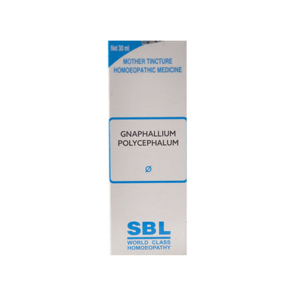 SBL Homeopathy Gnaphalium Polycephalum Mother Tincture Q TrueCure