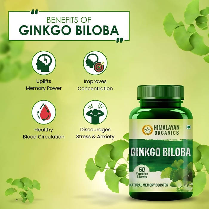 Himalayan Organics Ginkgo Biloba Vegetarian Capsules