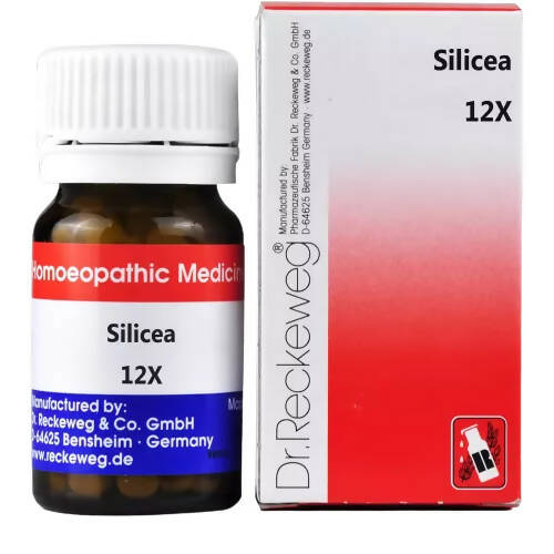 Dr. Reckeweg Silicea Biochemic Tablets TrueCure