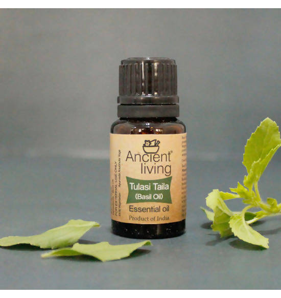 Ancient Living Tulasi Taila (Basil Oil) Essential Oil