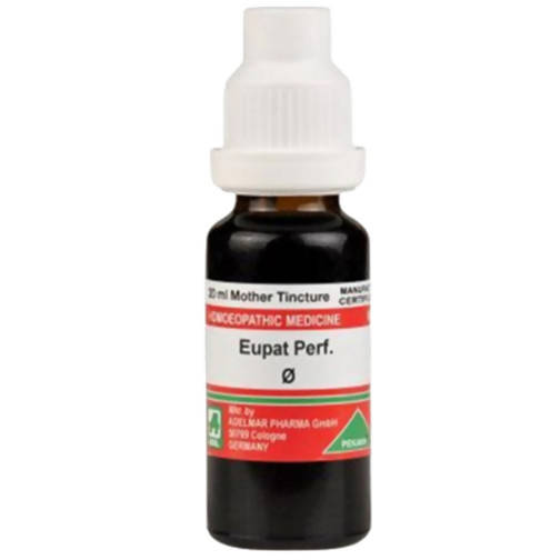 Adel Homeopathy Eupatorium Perf Mother Tincture Q