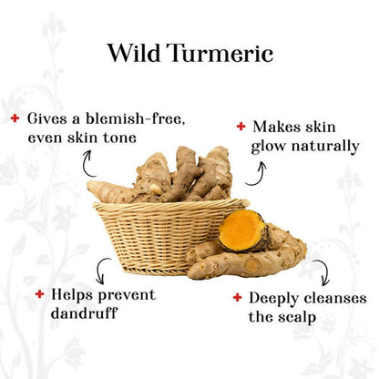 Alps Goodness Wild Turmeric Powder