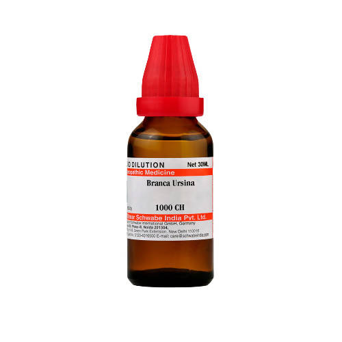 Dr Willmar Schwabe India Branca Ursina 30 ml