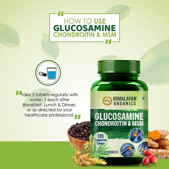 Himalayan Organics Glucosamine Chondroitin & MSM Vegetarian Tablets