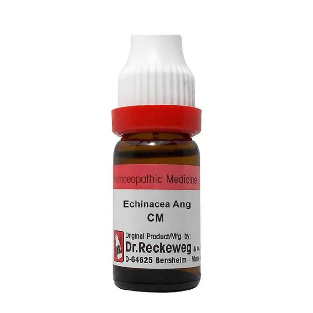 Dr. Reckeweg Echinacea Ang Dilution  