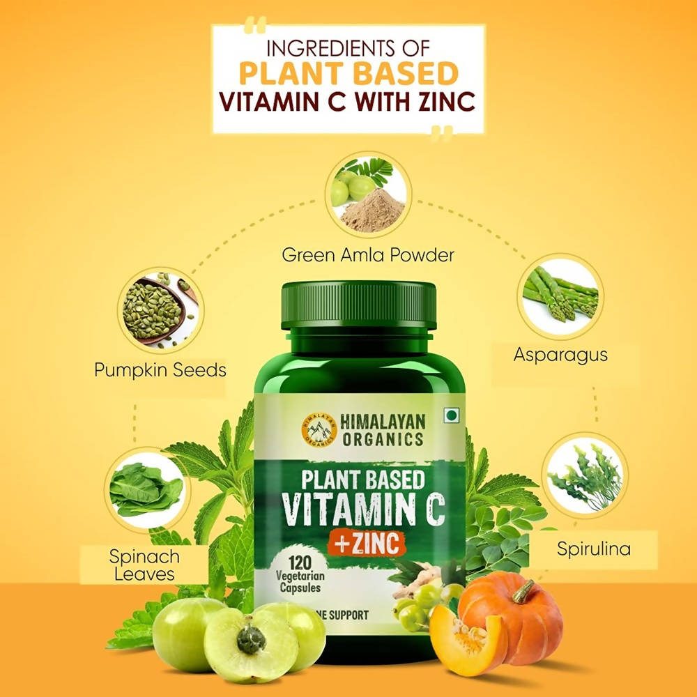 Himalayan Organics Plant Based Vitamin C + Zinc Double Immune Support Vegetarian Capsules