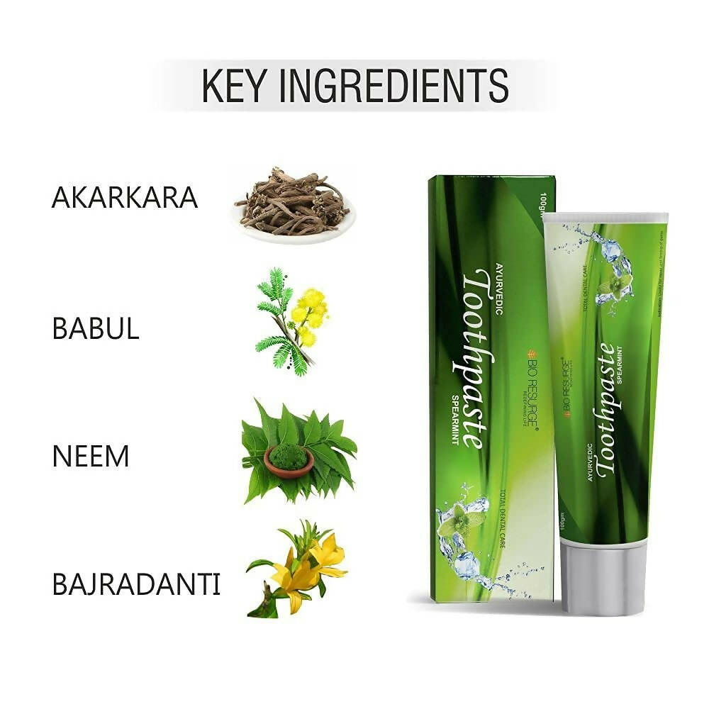 Bio Resurge Life Herbal Ayurvedic Spearmint Toothpaste